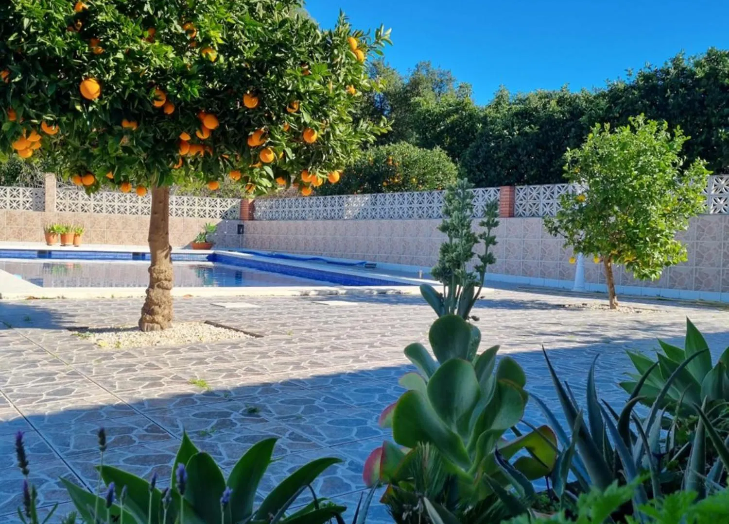 Villa Finca Vista El Montanes Malaga Spain