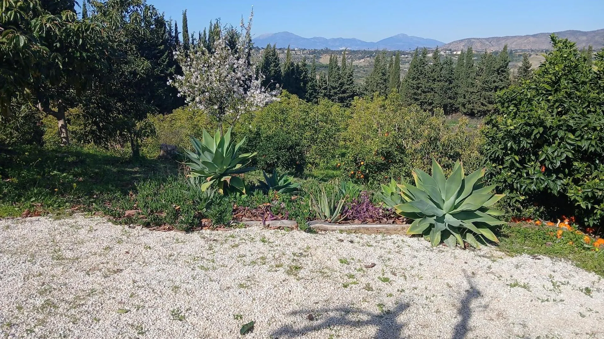Finca Vista El Montanes Malaga Spain