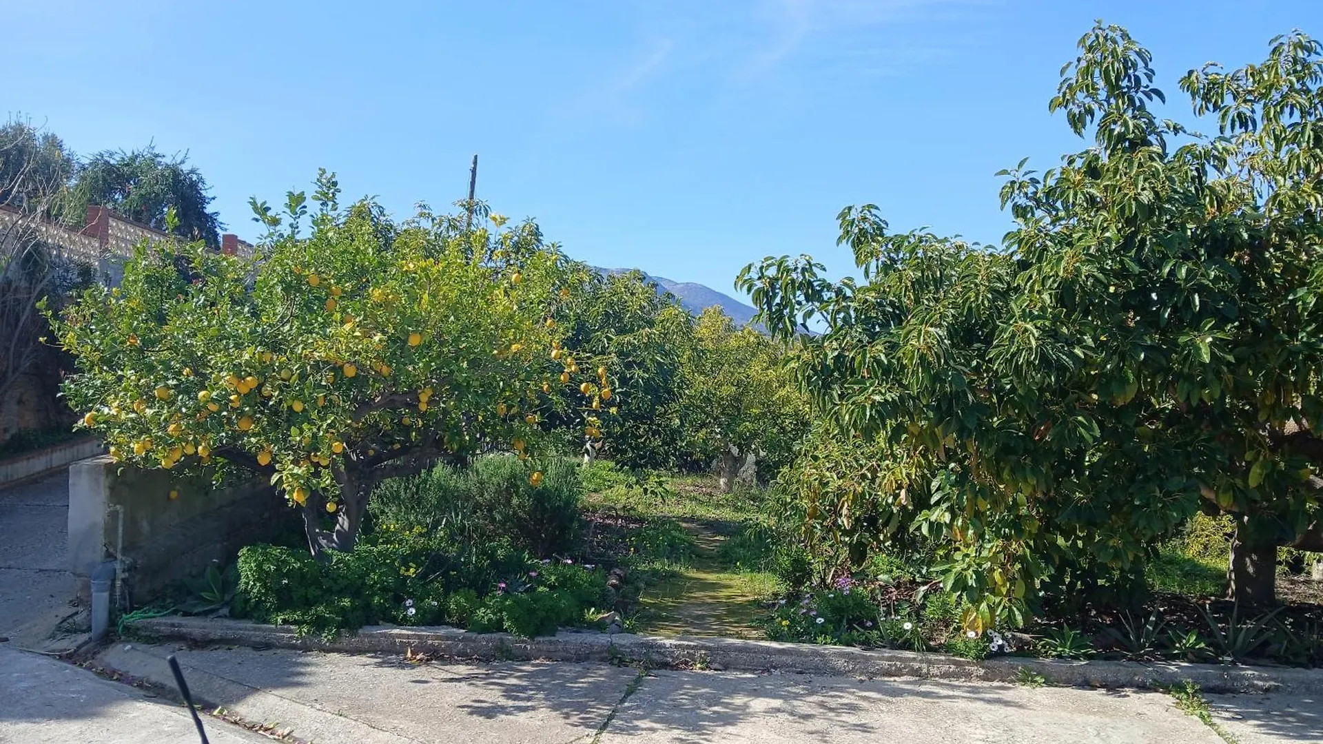 Villa Finca Vista El Montanes Malaga Spain