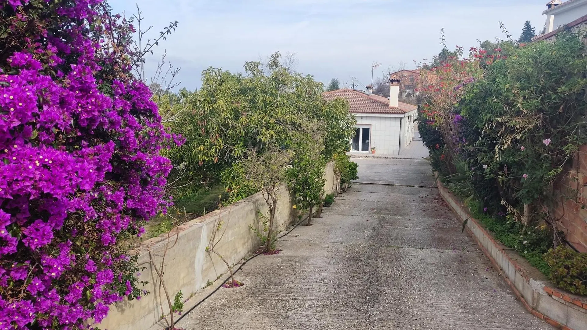 Villa Finca Vista El Montanes Malaga