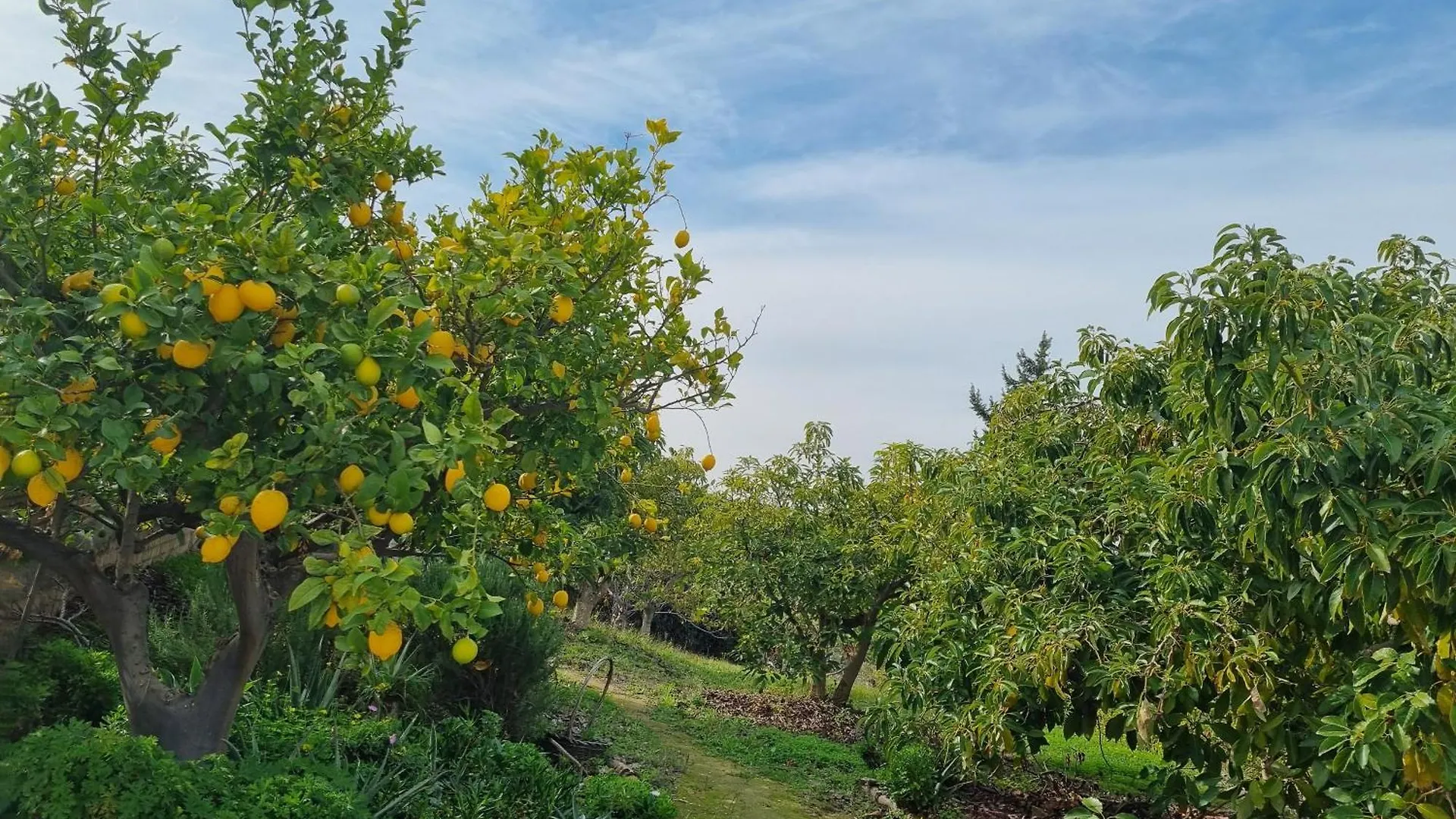 Finca Vista El Montanes 말라가 0*,  스페인