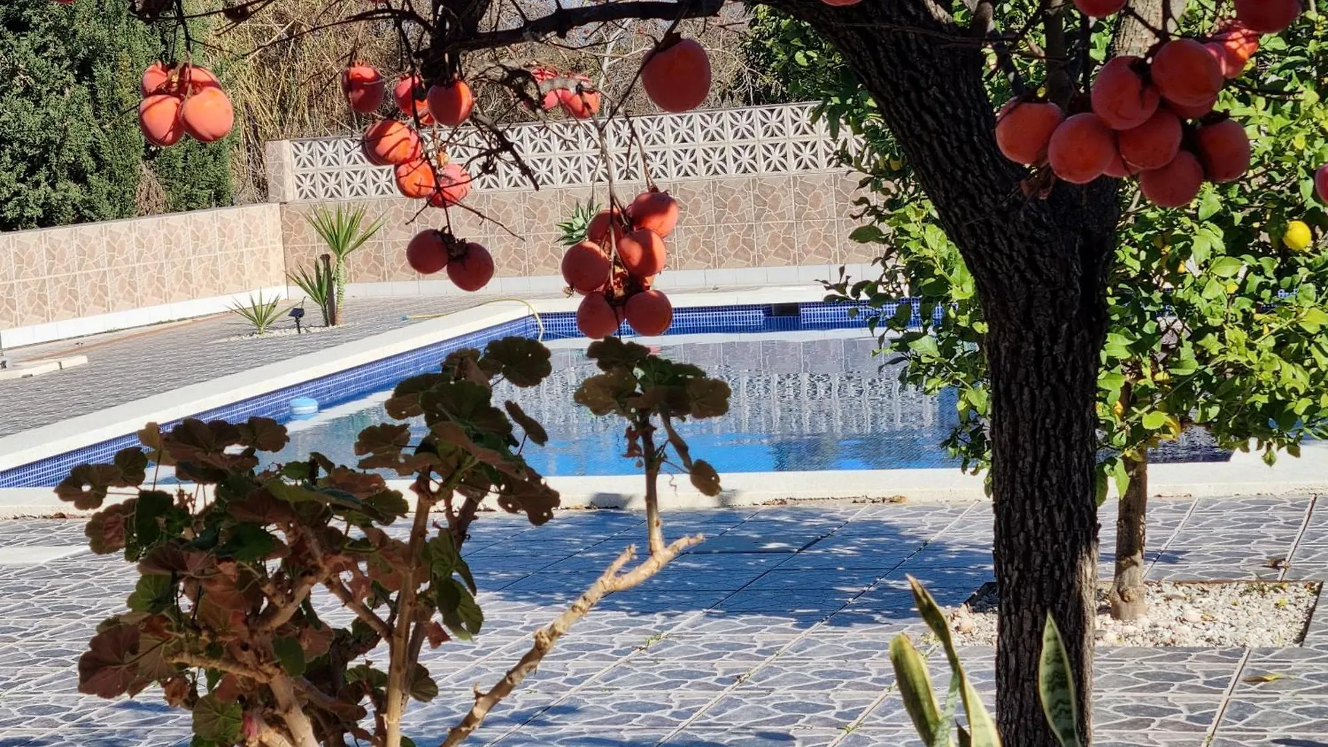 Finca Vista El Montanes Malaga Villa