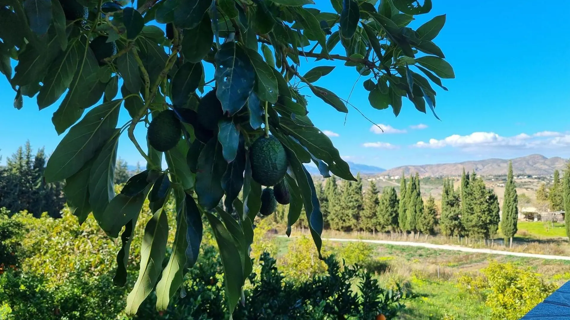 빌라 Finca Vista El Montanes 말라가