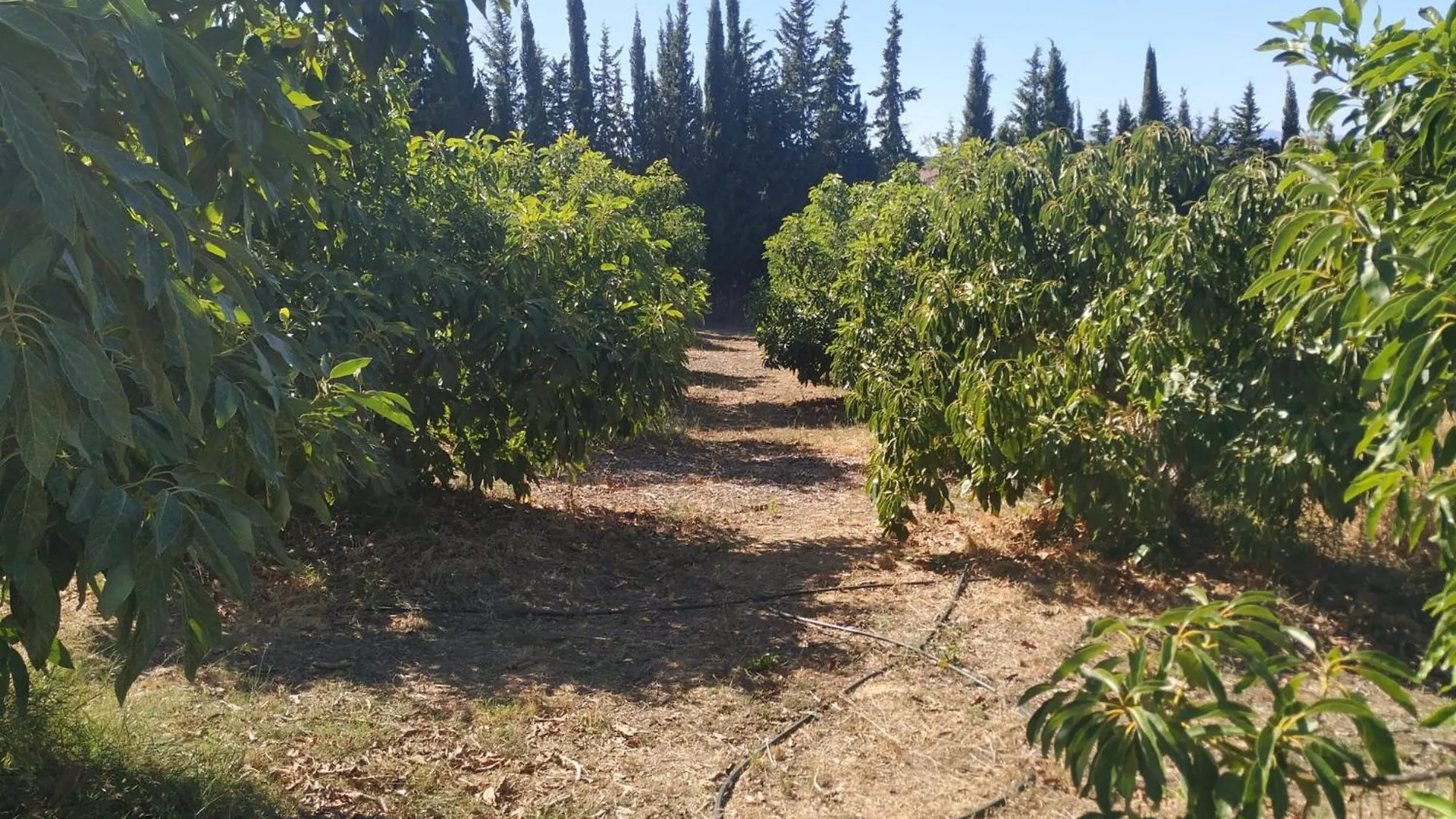 Finca Vista El Montanes 말라가
